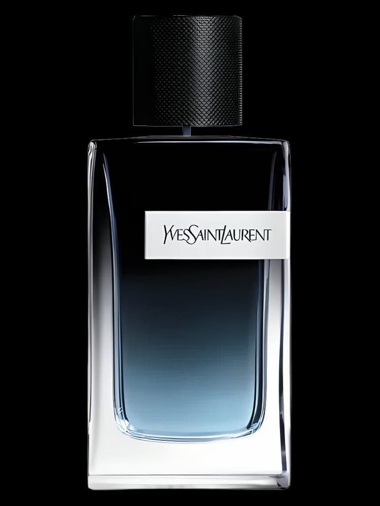 Y Eau de Parfum - Yves Saint Laurent
