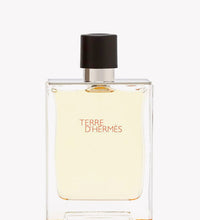 Hermès Terre d'Hermès Eau de Toilette 100ml