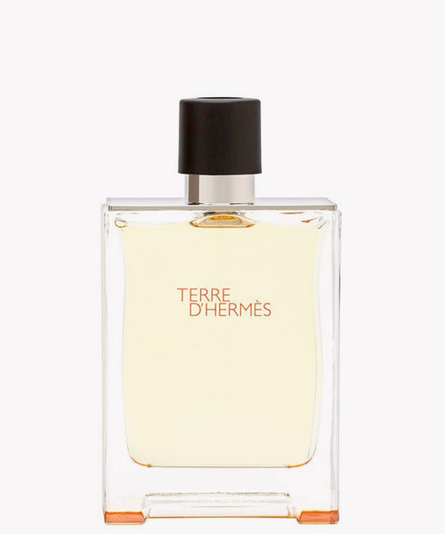 Hermès Terre d'Hermès Eau de Toilette 100ml