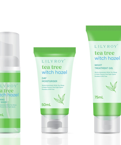 Tea Tree Witch Hazel Skin Care Set – Foaming Face Wash, Day Moisturiser & Night Treatment Gel