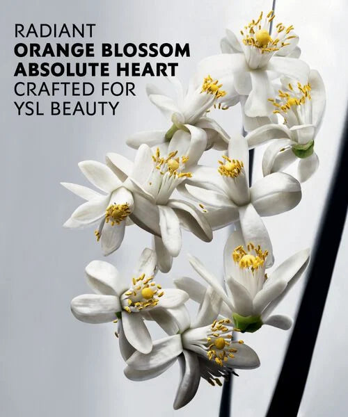 YSL MYSLF L&