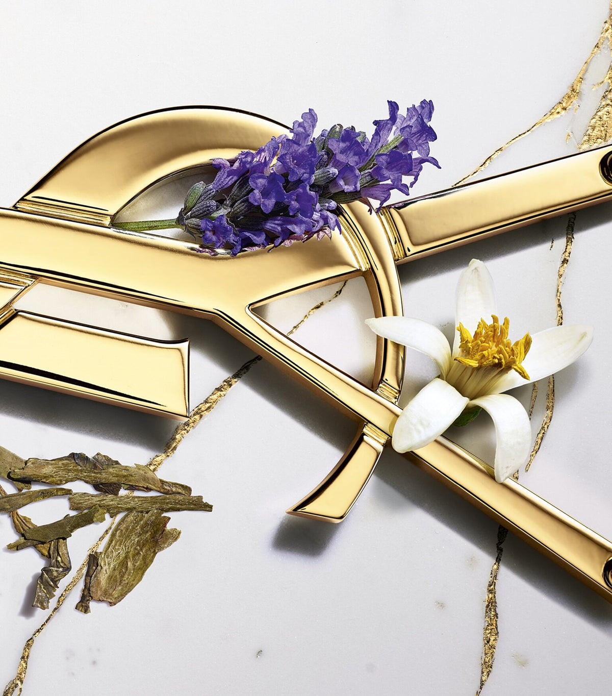 Libre Eau de Toilette - Yves Saint Laurent